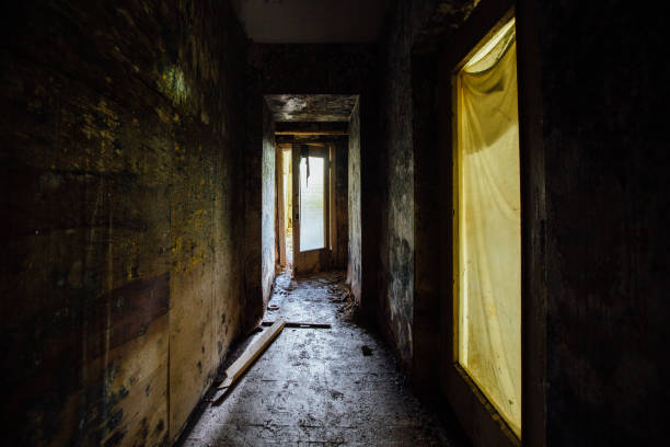 istock Dark creepy old abandoned basement under house 1363242990
