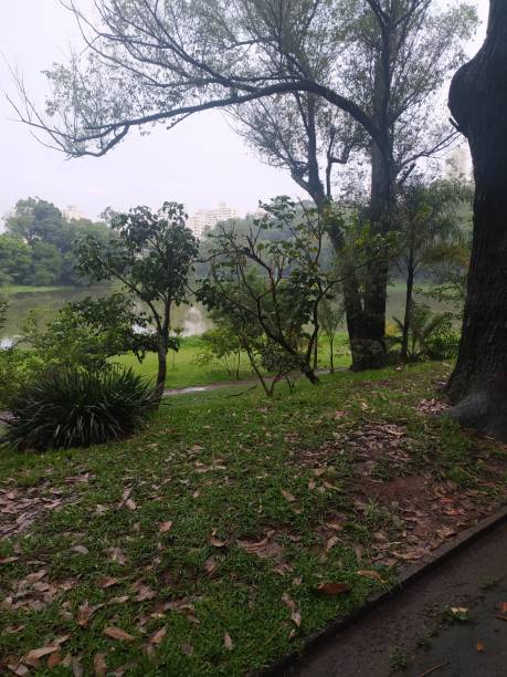 istock Aclimacao park in a cloudy day 1363243514