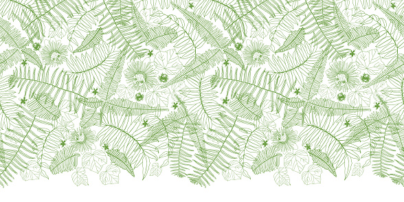 Vector white top horizontal border fern leaves pattern. Perfect for posters, greeting cards and other graphic design projects. Surface pattern design.