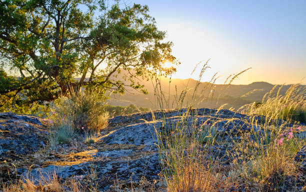 istock Last colorful lights in the Extremadura line. 1363250242