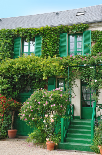 A picture of a small white house covered with a creeping plant in the countryside. A review of rural life and nature in the spring, agriculture