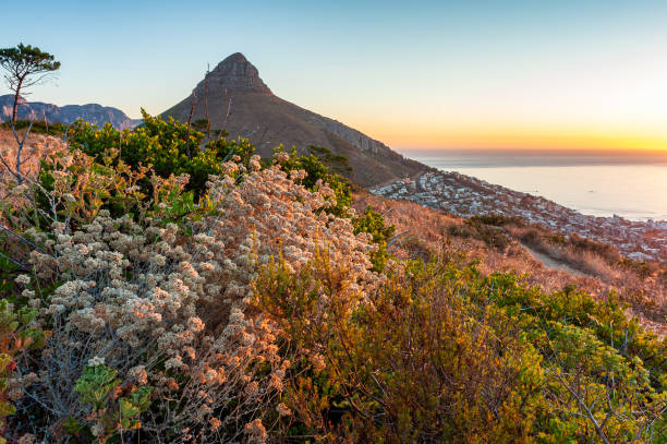 puesta de sol sobre la ciudad costera y el pico de la montaña - montaña de lions head fotografías e imágenes de stock