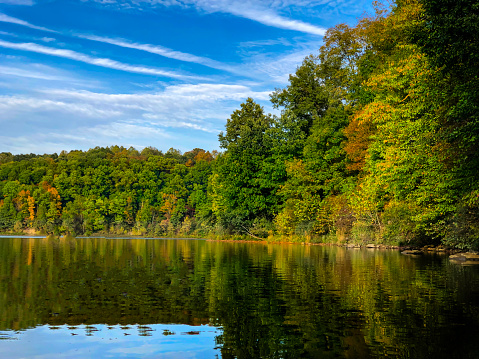 The shoreline of Salt Fork State Park lake in Ohio USA. The shoreline is bathed in beautiful light. There is a hint of autumn in the treeline.