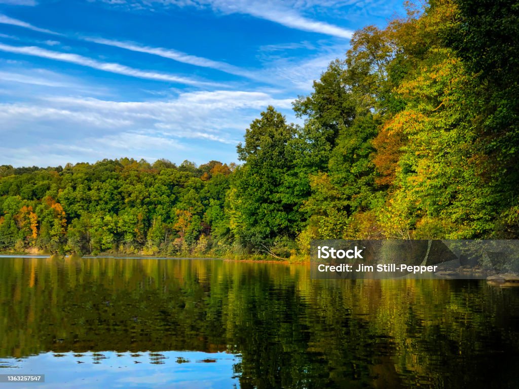 Prestine Shoreline Bathed in Beautiful Light The shoreline of Salt Fork State Park lake in Ohio USA. The shoreline is bathed in beautiful light. There is a hint of autumn in the treeline. Lake Stock Photo