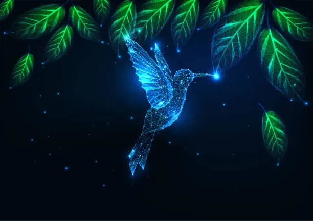 Vector illustration of Futuristic glowing low polygonal flying hummingbird in tropical forest on dark blue