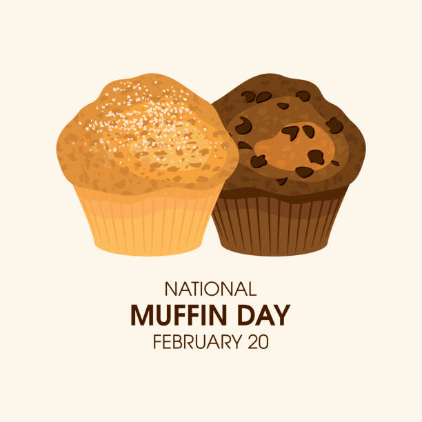 National Muffin Day vector Delicious chocolate and classic muffin pastry icon vector. Muffin Day Poster, February 20. Important day muffin stock illustrations