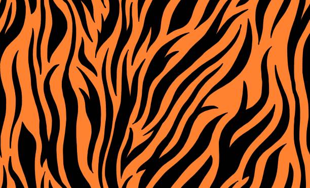 Tiger Stripes Pattern Vector Design Stock Illustration - Download