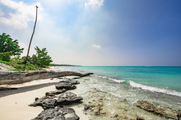 istock Caribbean Sea in Dominican Republic 1363264787