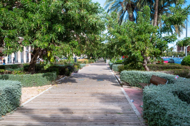 Public Park in Valencia, Spain