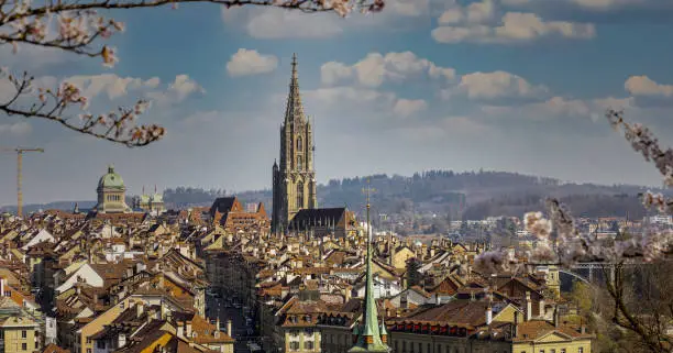 Beautiful view of the landscape of old town in Bern city -Switzerland as the cherry blossom flower in Spring season  background