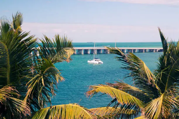 View through the tropical palm trees to the blue lagoon with docked luxury yachting boat, 12 miles bridge on background, sunny bay of the Bahia Honda at the Florida Keys