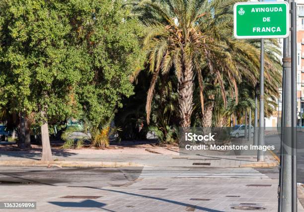 Avinguda De França In Valencia Spain Stock Photo - Download Image Now - Architecture, Avenue, Beauty In Nature