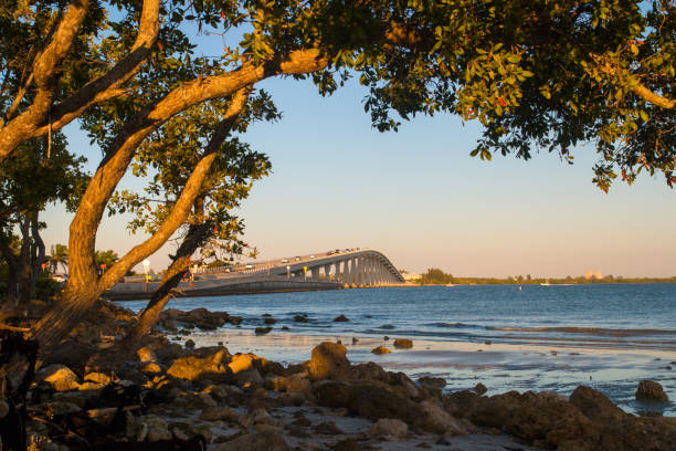 The Edison Bridge over Caloosahatchee River in Fort Myers, Florida, view through the wooden branches tree from the beach on warm afternoon golden sun light The Edison Bridge over Caloosahatchee River in Fort Myers, Florida, view through the wooden branches tree from the beach on warm afternoon golden sun light fort myers stock pictures, royalty-free photos & images