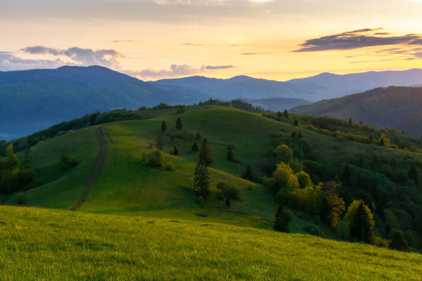 istock carpathian mountain landscape at dusk 1363272582
