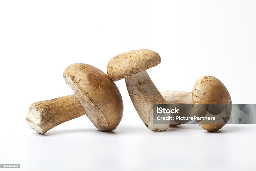 Frescas inteiras cogumelos Porcini - Foto de stock de Cogumelo Comestível royalty-free