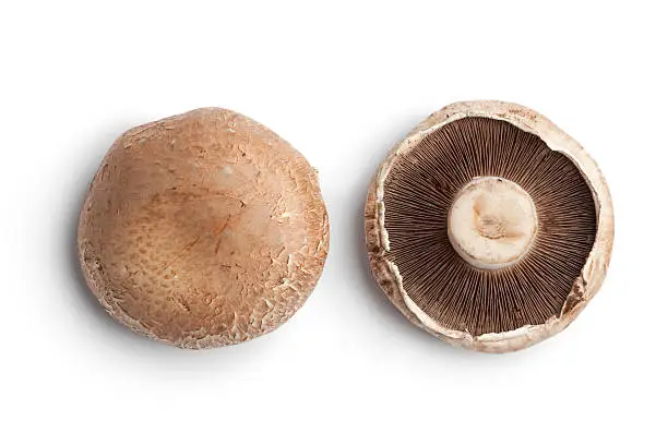 Fresh Portobello mushroom isolated on white background