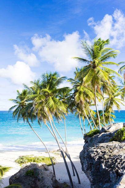 istock Bottom Bay, Barbados, Caribbean 1363277197