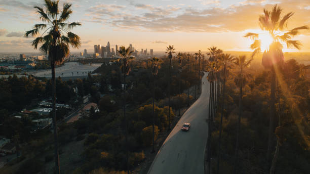 istock Palm Tree-Lined Street Overlooking Los Angeles at Sunset 1363277696