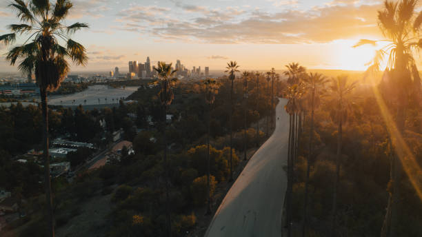 istock Palm Tree-Lined Street Overlooking Los Angeles at Sunset 1363277697