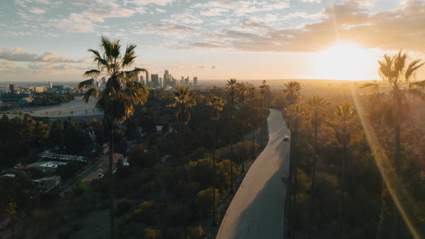 istock Palm Tree-Lined Street Overlooking Los Angeles at Sunset 1363277780