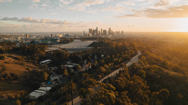 istock Palm Tree-Lined Street Overlooking Los Angeles at Sunset 1363277805