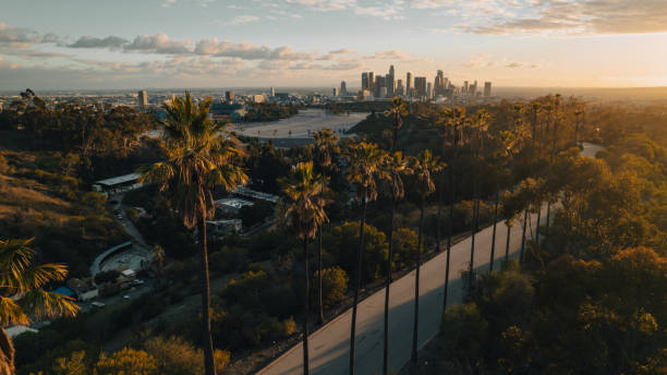 istock Palm Tree-Lined Street Overlooking Los Angeles at Sunset 1363277821