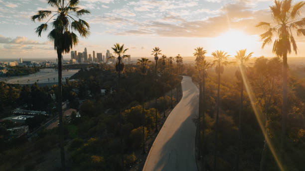 istock Palm Tree-Lined Street Overlooking Los Angeles at Sunset 1363277826