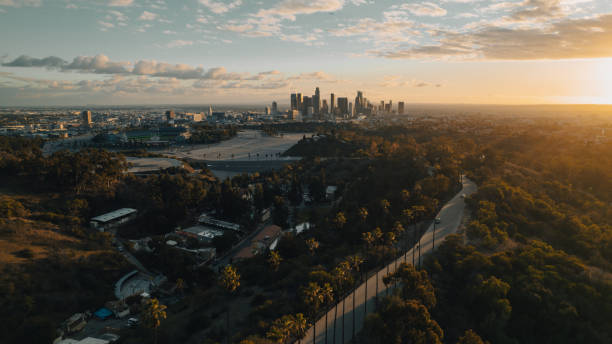 istock Palm Tree-Lined Street Overlooking Los Angeles at Sunset 1363277827