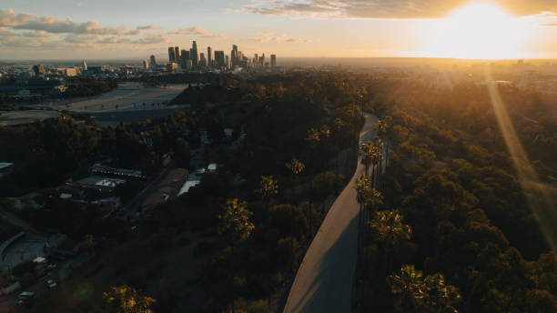 istock Palm Tree-Lined Street Overlooking Los Angeles at Sunset 1363277885