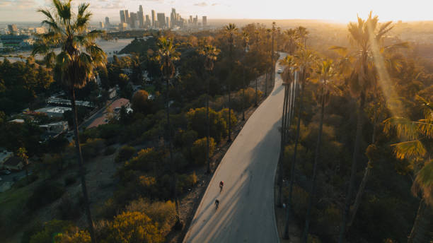 일몰에 로스 앤젤레스를 내려다 보는 팜 트리 안감 거리 - santa monica pier city of los angeles los angeles county aerial view 뉴스 사진 이미지