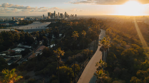 istock Palm Tree-Lined Street Overlooking Los Angeles at Sunset 1363277915