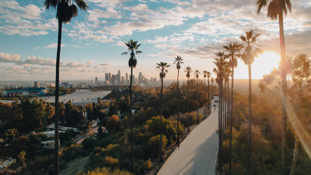 strada fiancheggiata da palme che domina los angeles al tramonto - los angeles county city of los angeles palm tree travel destinations foto e immagini stock