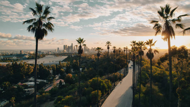 palmengesäumte straße mit blick auf los angeles bei sonnenuntergang - kalifornien stock-fotos und bilder