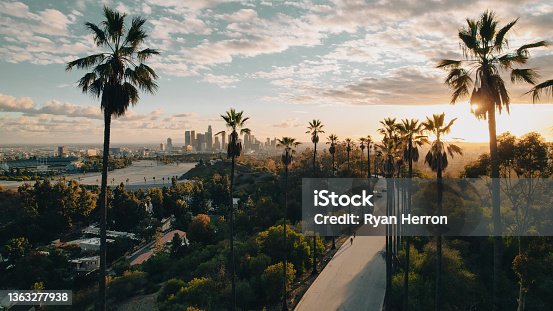 istock Palm Tree-Lined Street Overlooking Los Angeles at Sunset 1363277938