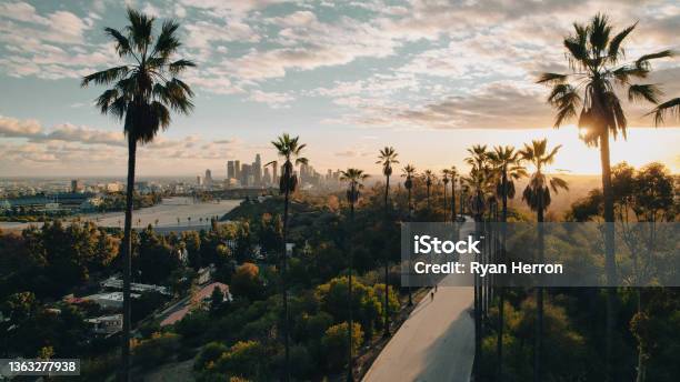 Palm Treelined Street Overlooking Los Angeles At Sunset Stock Photo - Download Image Now