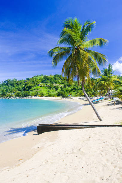istock Parlatuvier Bay, Tobago 1363278615