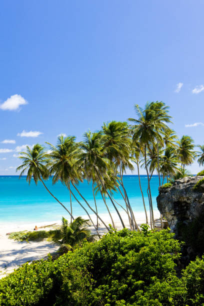 istock Bottom Bay, Barbados, Caribbean 1363278975