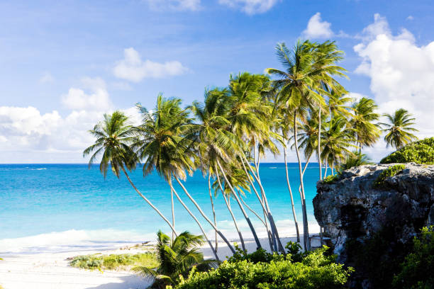 istock Bottom Bay, Barbados, Caribbean 1363278976