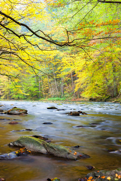istock Metuje river in autumn, Czech Republic 1363279497
