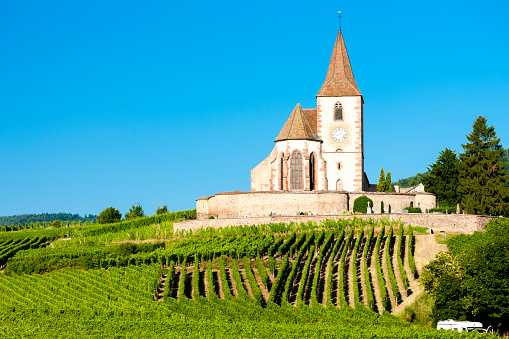 church with vineyard, Hunawihr, Alsace, France