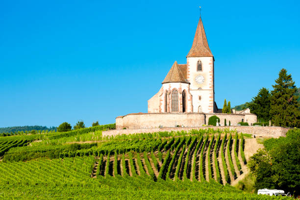 church with vineyard, Hunawihr, Alsace, France stock photo