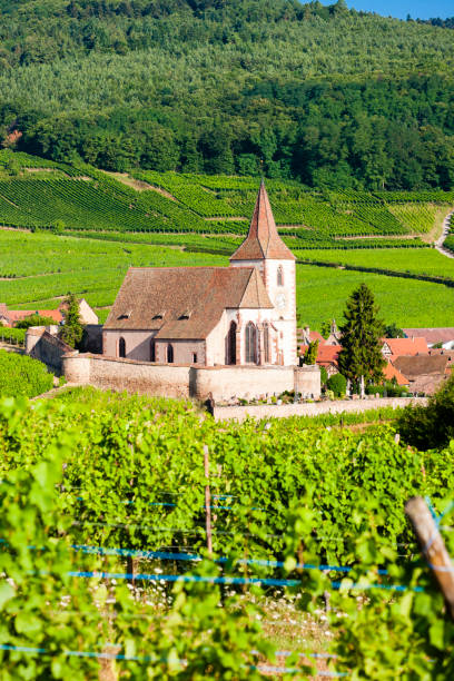 istock Hunawihr, Alsace, France 1363281668