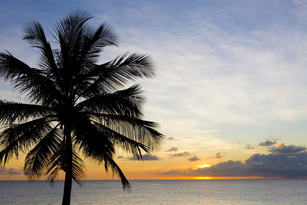 istock sunset over Caribbean Sea, Barbados 1363281775