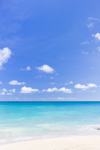 istock Foul Bay, Barbados, Caribbean 1363281776