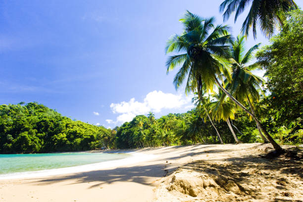 Englishman's Bay, Tobago Englishman's Bay, Tobago tobago stock pictures, royalty-free photos & images