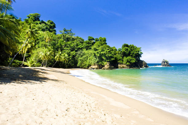 istock Englishman's Bay, Tobago 1363281930