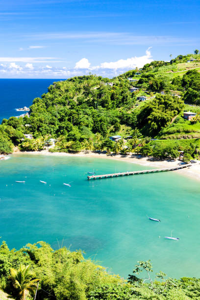 istock Parlatuvier Bay, Tobago 1363281931