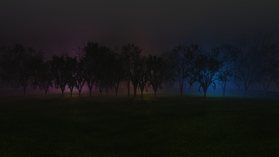 Foggy forest, different types of trees and green grass. Lights in three colors. Shades of blue, orange and purple coming between branches through fog.