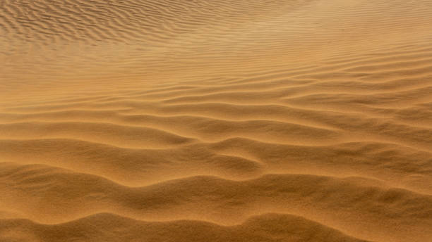 hermosos patrones en las dunas de arena - desert fotografías e imágenes de stock