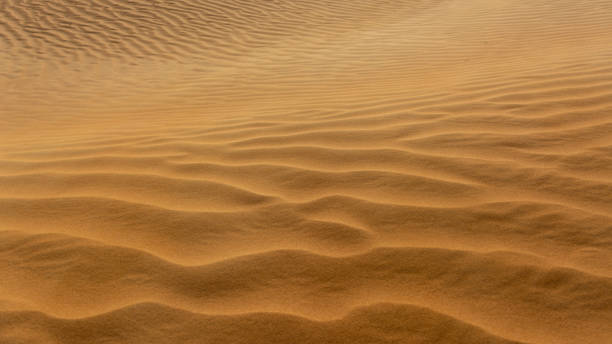beaux motifs sur les dunes de sable - oasis sand sand dune desert photos et images de collection